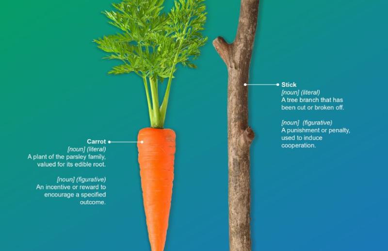 carrots-and-sticks.jpg