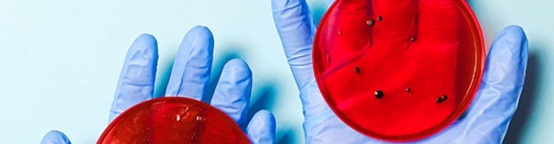 Work-in-the-time-of-Corona-Big2