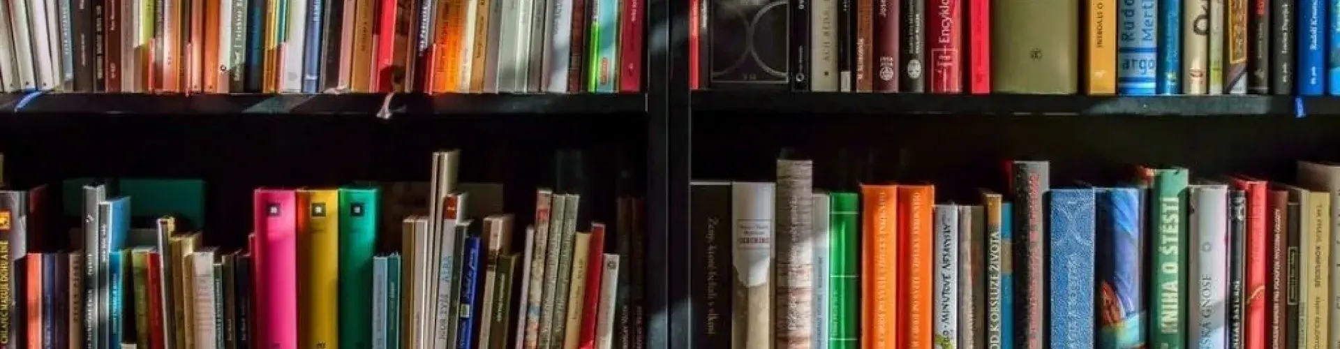 bookshelf_wood