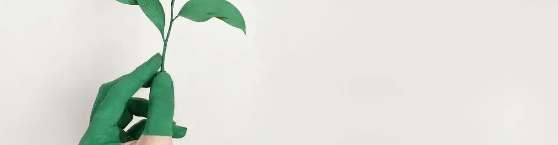 green-uai