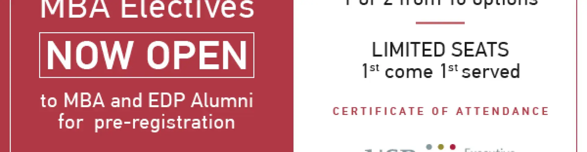 MBA electives information sheet