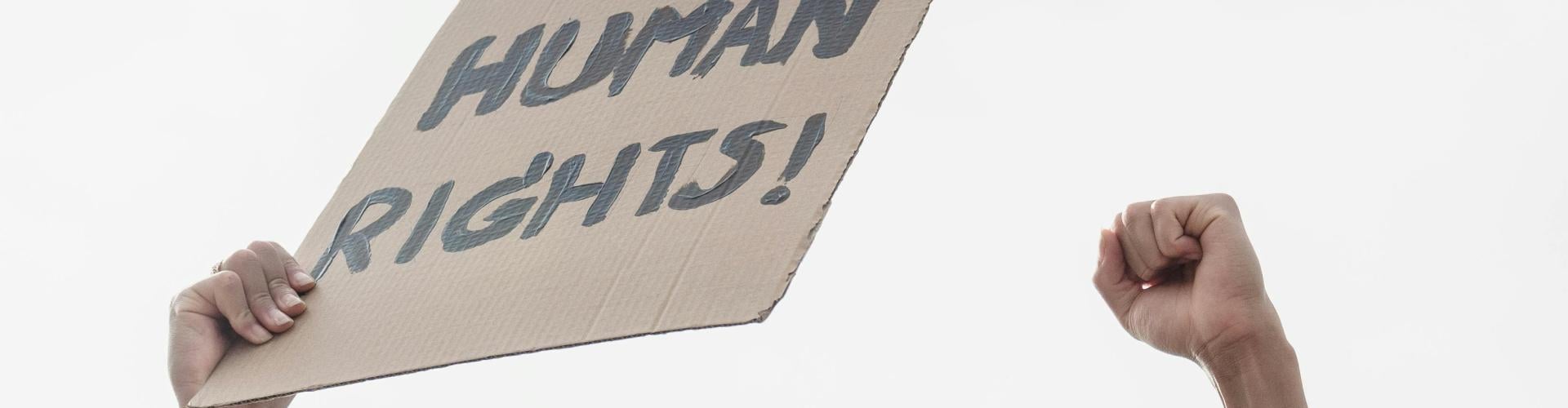 A person holds a cardboard sign reading "HUMAN RIGHTS!" with a raised fist against a cloudy sky.