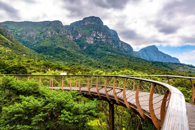 Kirstenbosch National Botanical Garden