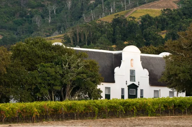 Groot Constantia